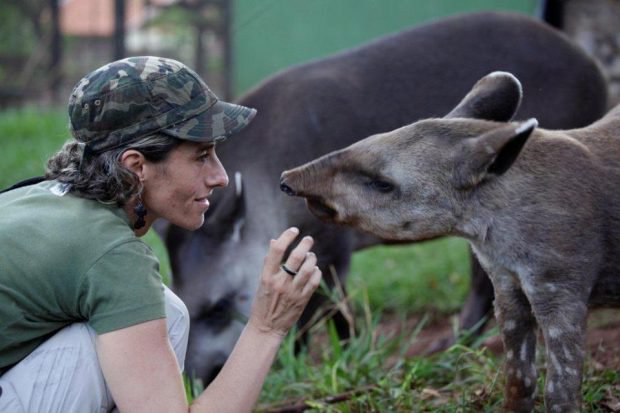 .@MediciPatricia leads the longest running conservation project to protect the threatened tapir https://t.co/rCcXh7ydiS #AdaLovelaceDay https://t.co/oIKmLZtd2I