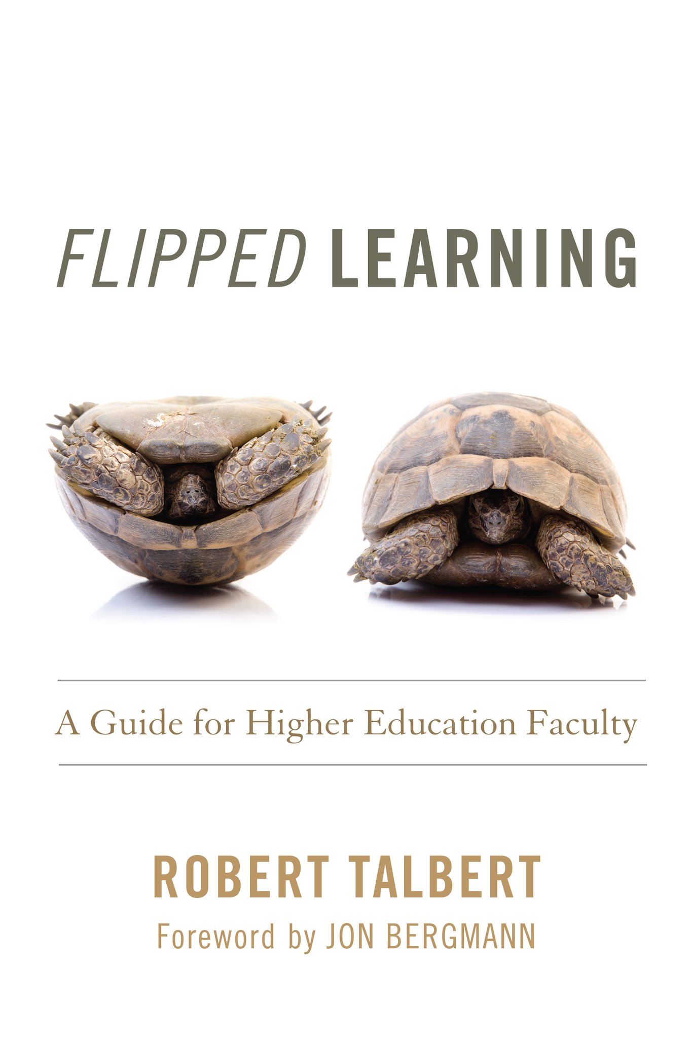 #LTHEchat Everyone before I forget and since @suebecks brought it up, I have a book out on flipped learning: https://t.co/mdkImZ1Dzw https://t.co/Luy3palmZe
