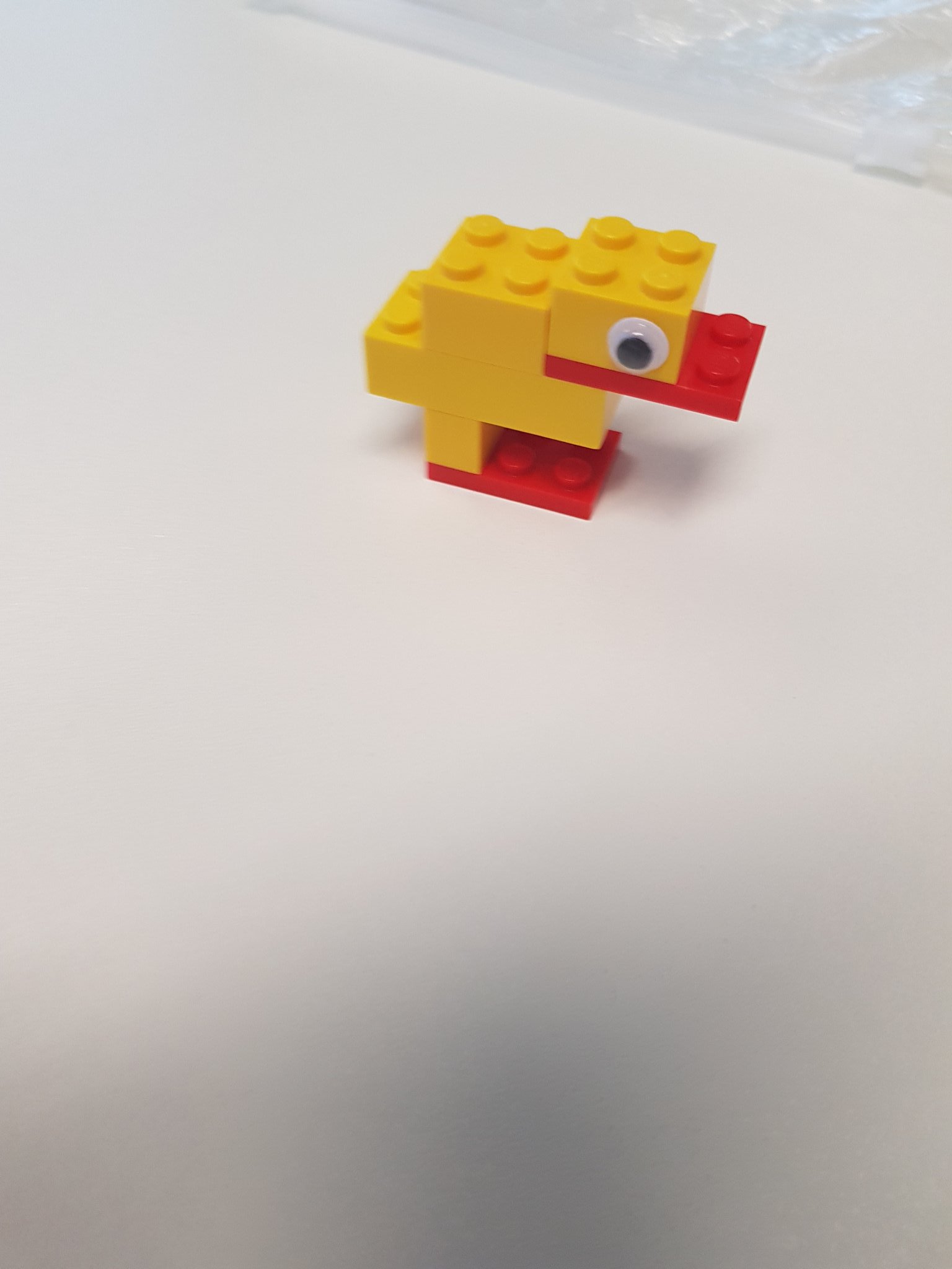 #SocMedHE17 here's my daftie duck https://t.co/cwYDAab0k5